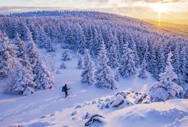 Winterwandern im Harz